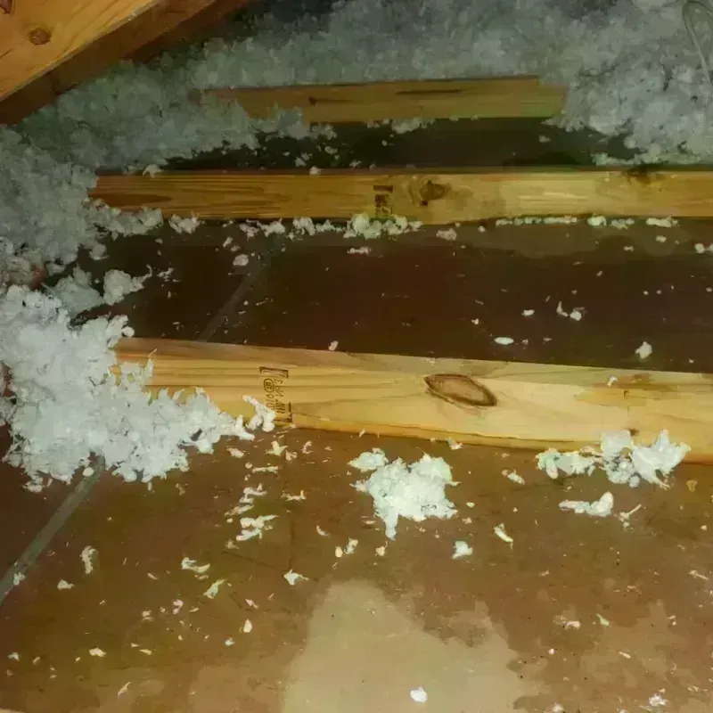 Attic Water Damage in Chalkville, AL