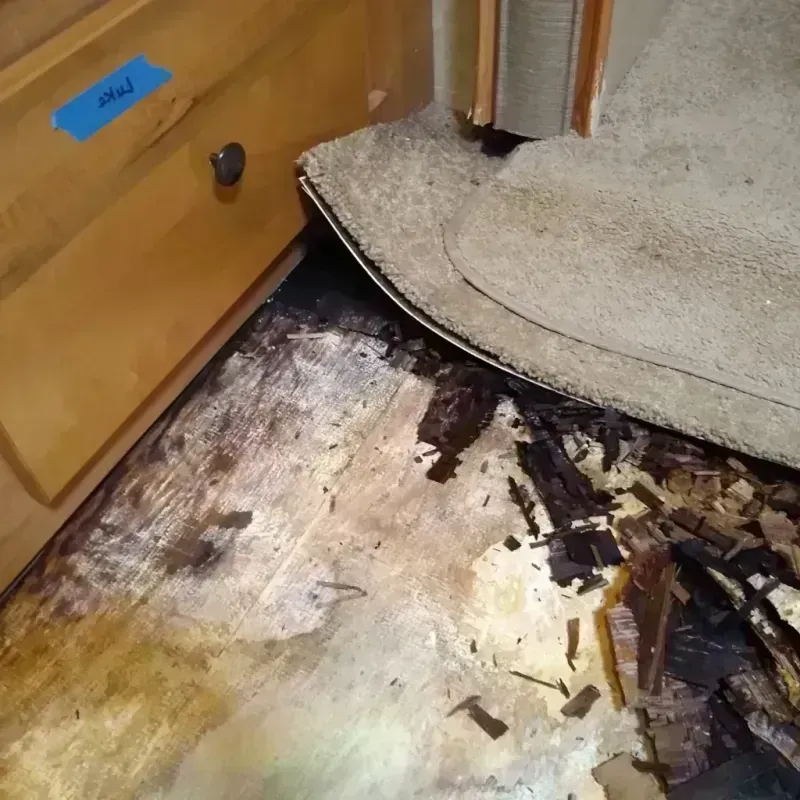 Best Wood Floor Water Damage Service in Chalkville, AL